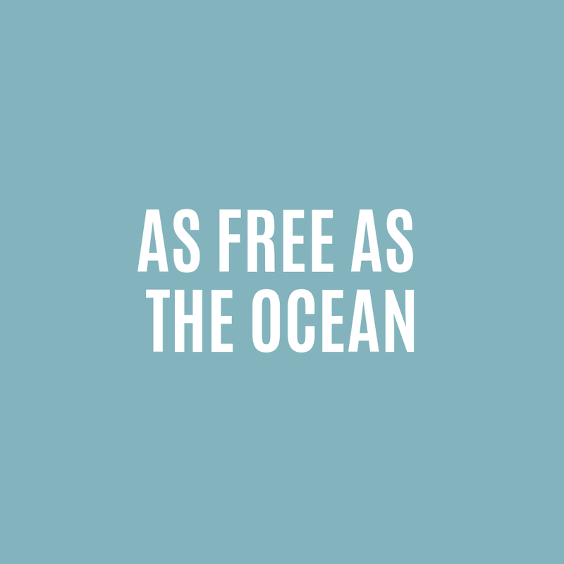 Living our dream and be as free as the ocean
