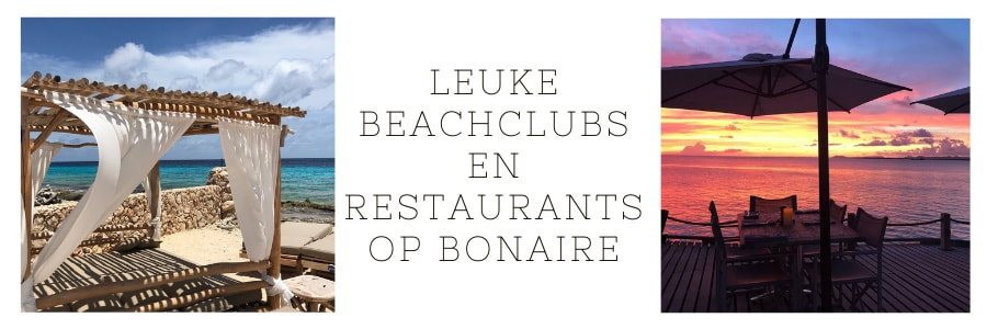 bonaire, ocean oasis, the beach bonaire, leuke restaurants bonaire, beach club bonaire