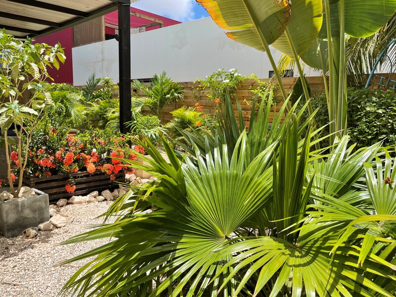 Bonaire hotel met tropische tuin