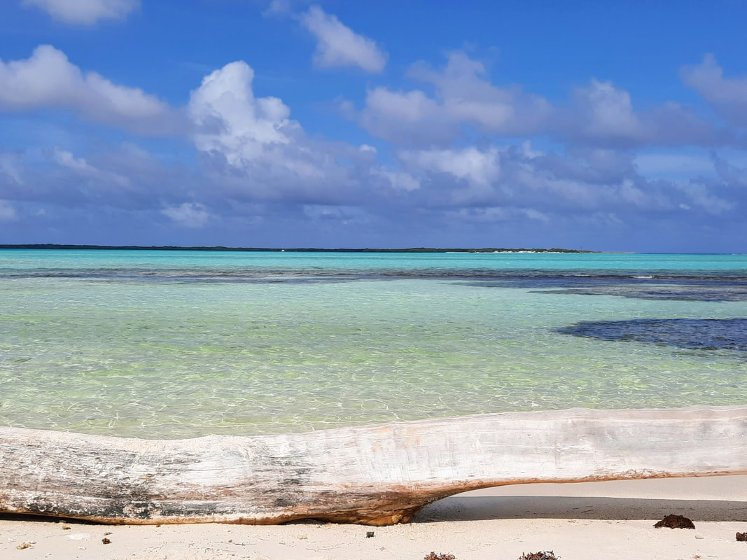 Top 5 beach bars Bonaire